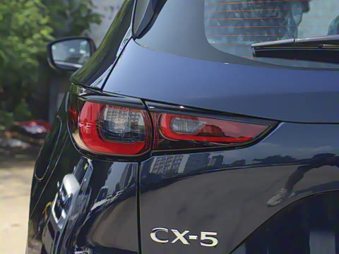 2025�� 2.0L �Զ���������Pro