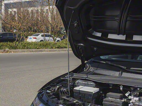 2025�� 650������