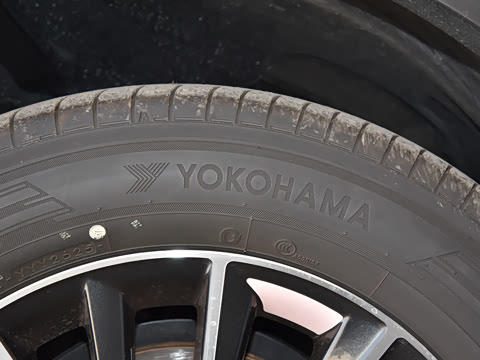 2026�� 200 ��ɫ�޶���