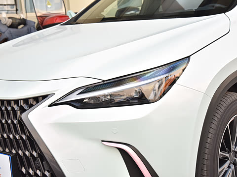 2026�� 200 ��ɫ�޶���