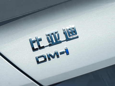 2026�� DM-i 305Զ����