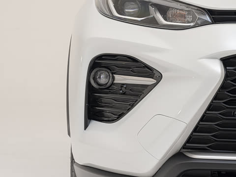 2024�� ˫�� 2.5L E-CVT��������