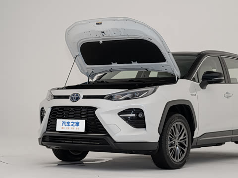 2024�� ˫�� 2.5L E-CVT��������