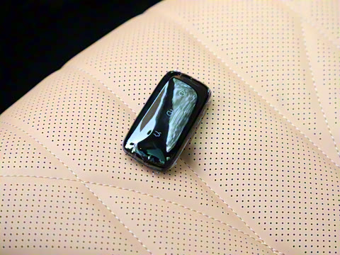 2025�� 60km EM-i ������