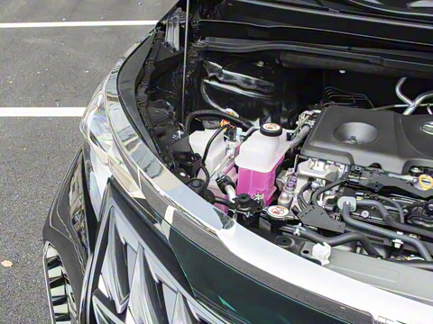 2026�� ������