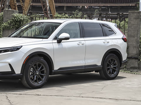 2026�� ȫ��30����ҫ�� 1.5T ��������5����