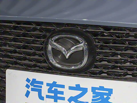 2025�� 2.0L �Զ����Ű�