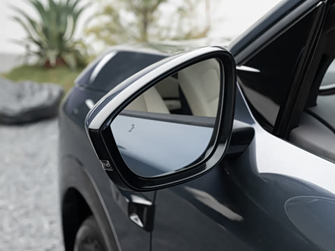 2026�� ���� 81kWh