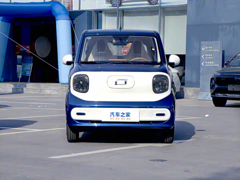 2026�� 222km ������