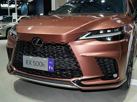 2026�� 500h ����F SPORT Performance