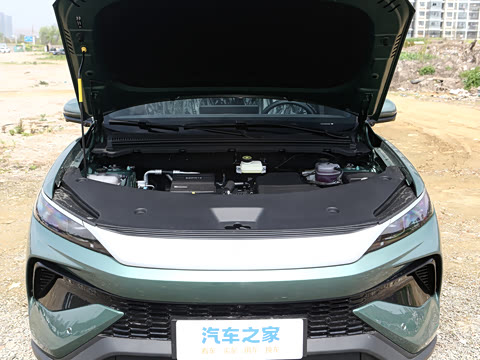 2026�� DM-i 220KM��Խ��