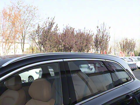 2025�� ���� Pro