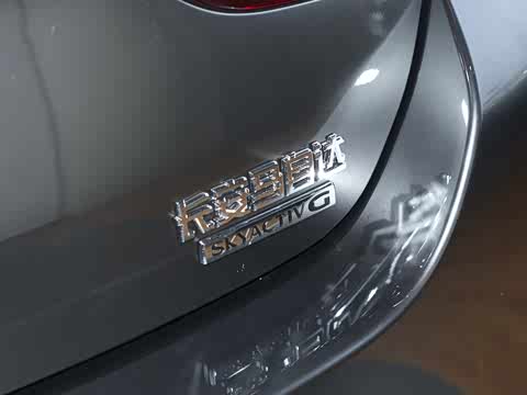 2025�� 2.0L �Զ����Ű�