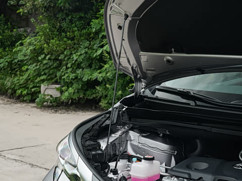 2026�� 2.5L ˫������������