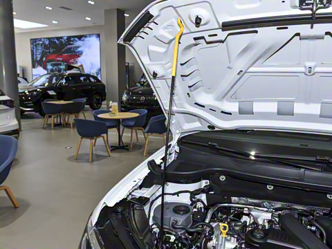 2026�� 300TSI ��°�