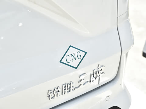 2025�� 2.0L CNG�м�Ӫ�����ʰ� 9��