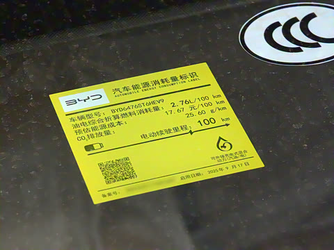 2026�� DM-i 133KM��Խ��