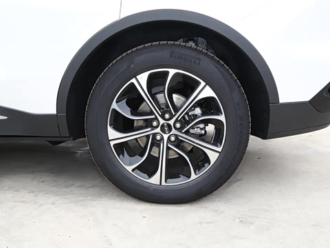 2025�� �Ŀ� 2.0T �������ݰ�