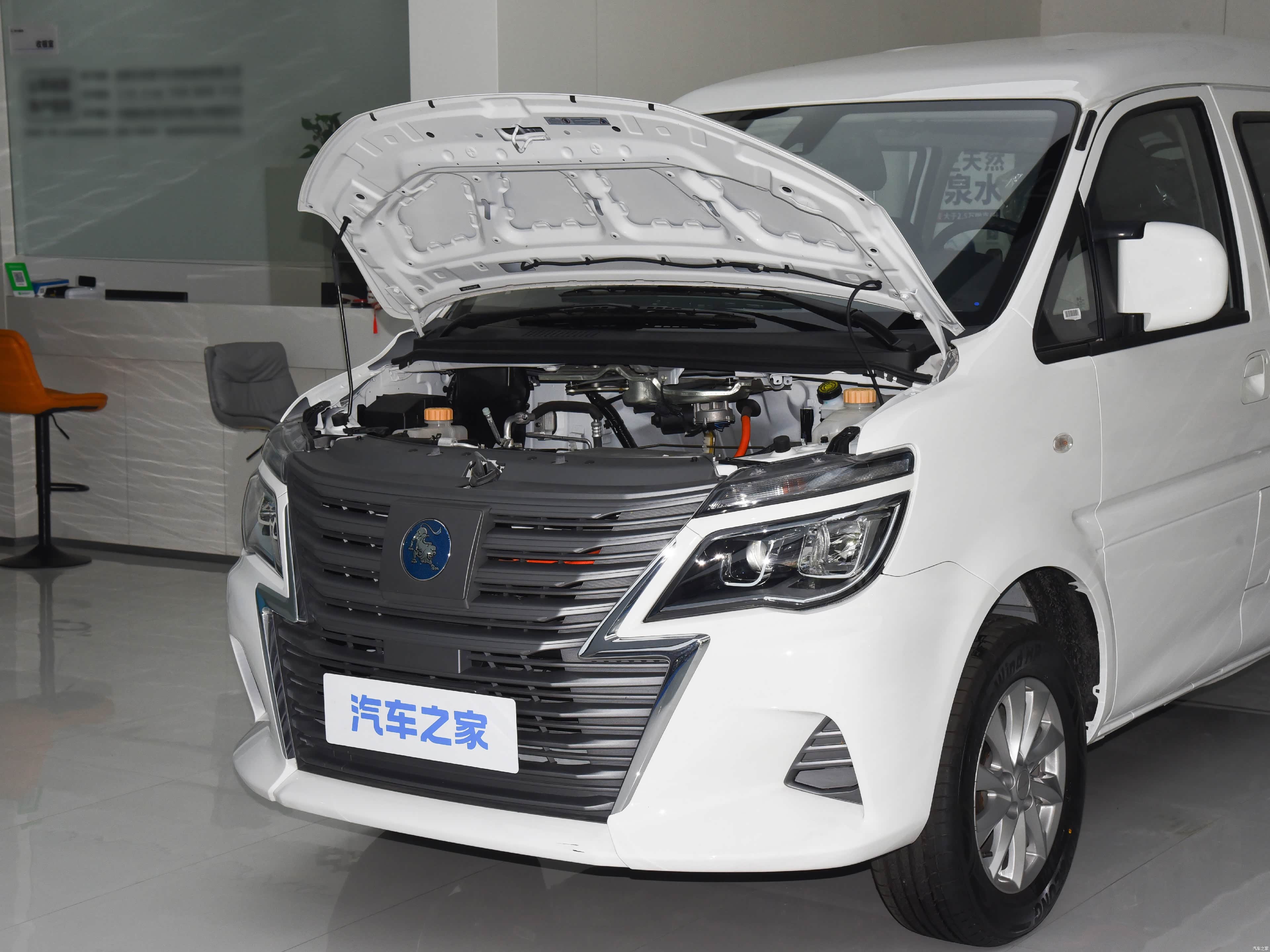 Forthing Lingzhi, миниатюра 29