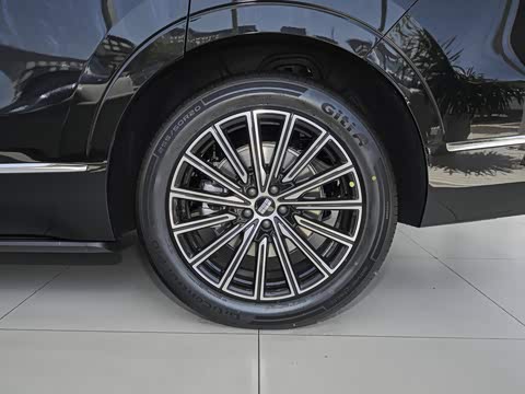 2025�� 230km ����Զ����