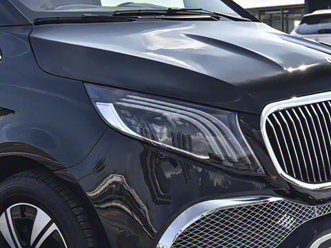 2025�� ������