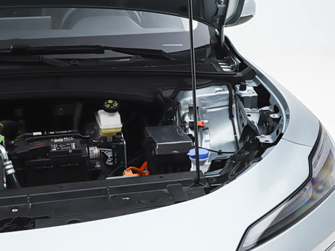 2026�� 450km ������