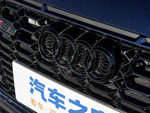 2024�� RS 5 2.9T Sportback ȼ���