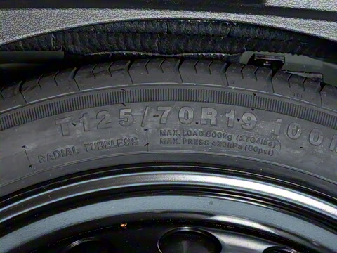 2024�� RS 5 2.9T Sportback ȼ���