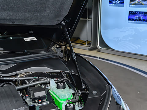 2025�� ������