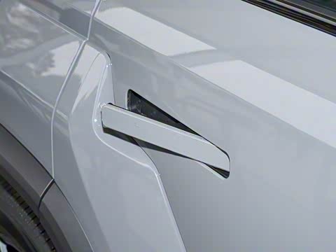 2025�� 520���������