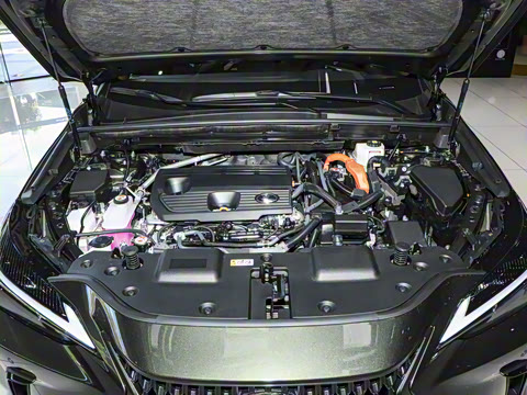 2025�� 350h JOY X