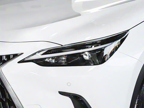 2025�� 350h JOY X