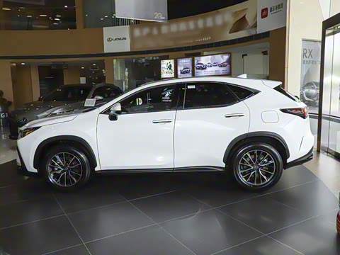 2025�� 350h JOY X