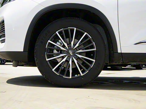 2025�� 290TGDI DCT����� 