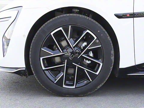 2025�� Elite�����