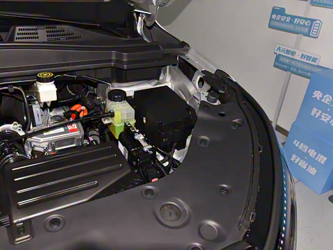 2025�� 185KM�����