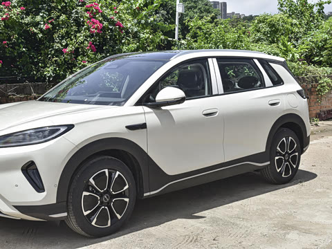 2026�� DM-i 305�Ǻ���