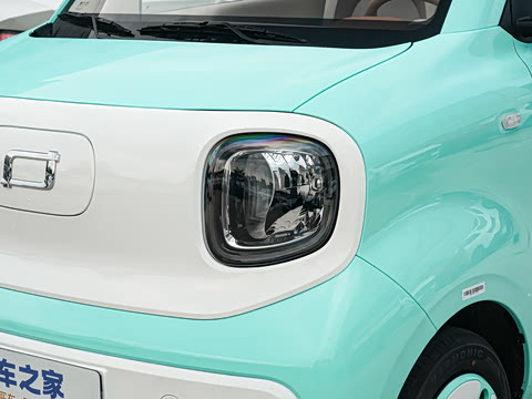 2026�� 222km �Ų���