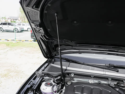 2026�� 3000������ѡ�� 330TSI DSG��Ӣ��