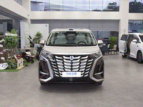 2025�� DM-i ����������