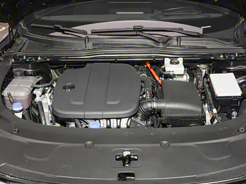 2026�� �����������̰� 310�콢��