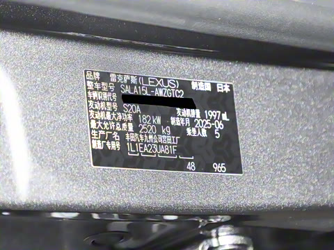 2025�� 300 ����������