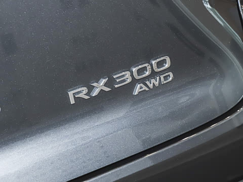 2025�� 300 ����������