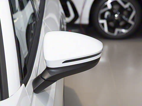 2026�� L 300TSI DSG ʱ����