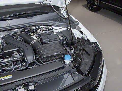 2026�� L 300TSI DSG ʱ����