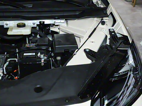 2026�� 650�����