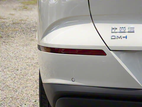 2025�� DM-i 121�캽��