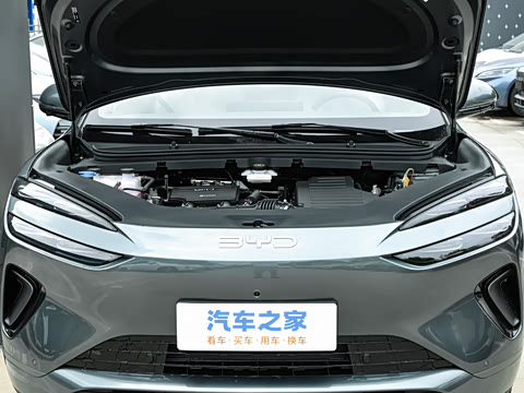 2025�� DM-i 205�캽Pro��