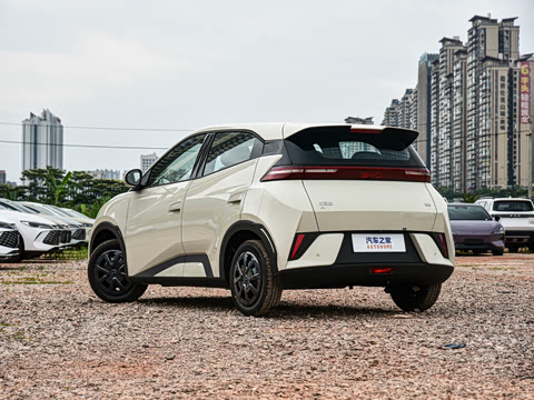 2026�� 305km ������