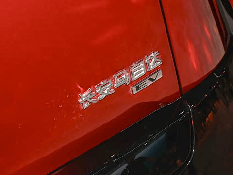 2026�� ����600 �����